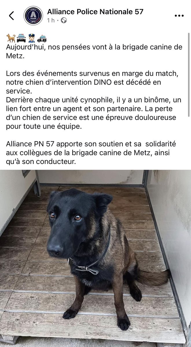 Arthur Carmier tweet media