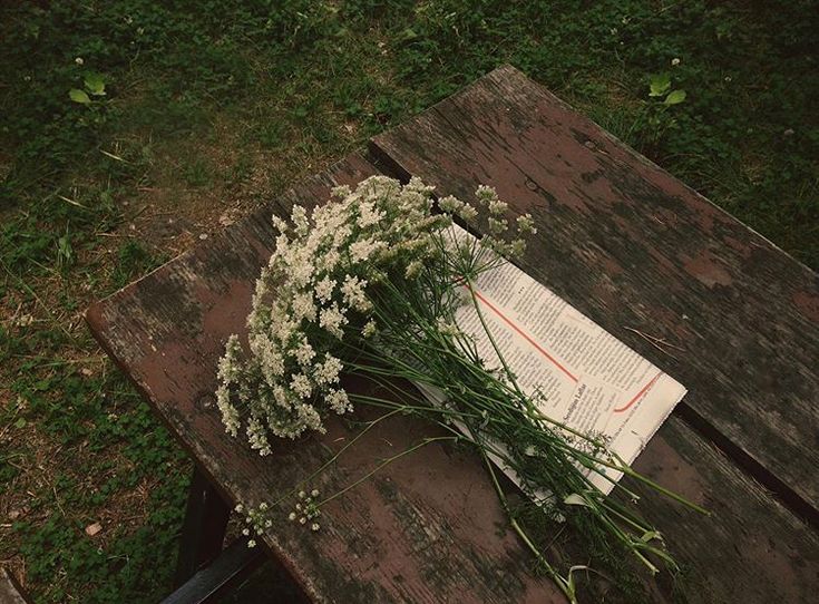 greenvibe's tweet image. 