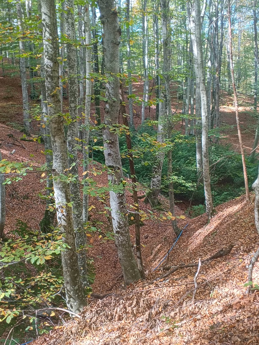 Mkpasa gizli ilişki ısteyen yazssın onclk kadın (@mkp_1616) on Twitter photo 