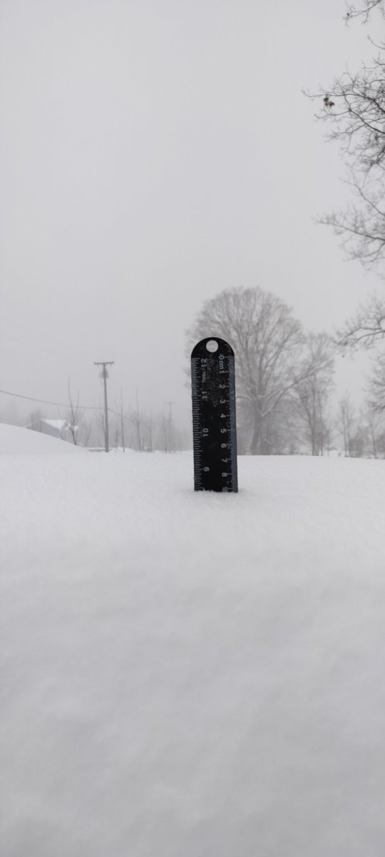 prasadjoglekar's tweet photo. @NWSAlbany 8.5 inches in Dover Plains at 3:40 pm. https://t.co/EjqFTuSqr0