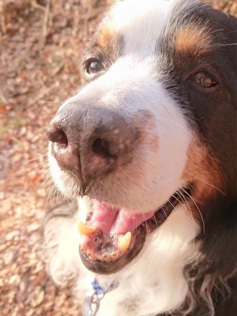 朝だね、おはよう

20220126