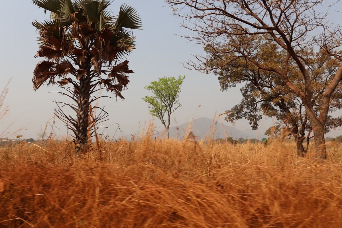 BenueFirst_ tweet media