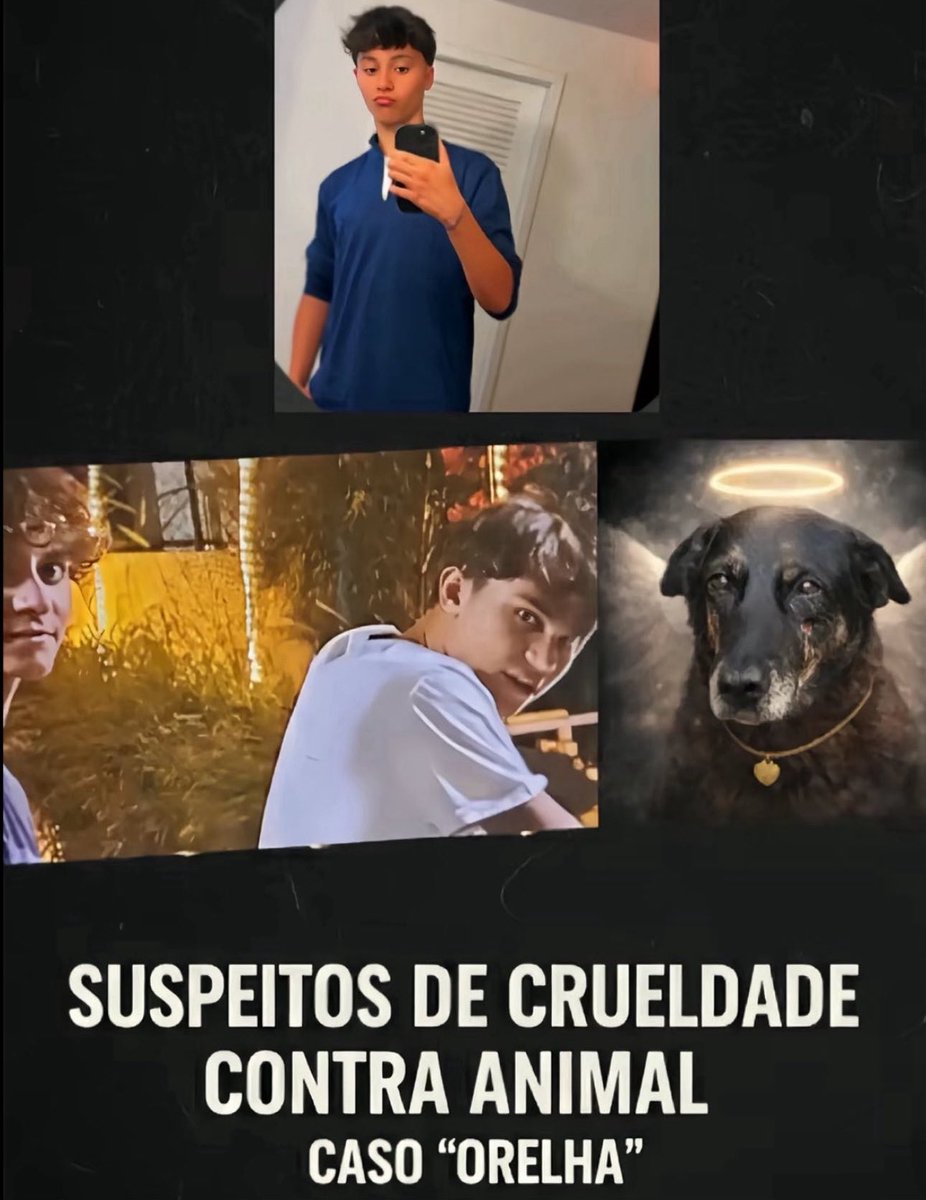 PhaedraXTeddy's tweet image. Man in Brazil who hammered nails in dogs head and cut off his ear is in USA 🇺🇸 now.