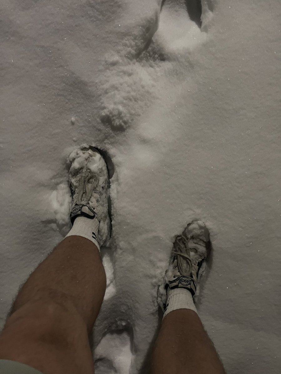 General B. 97 | David tweet media