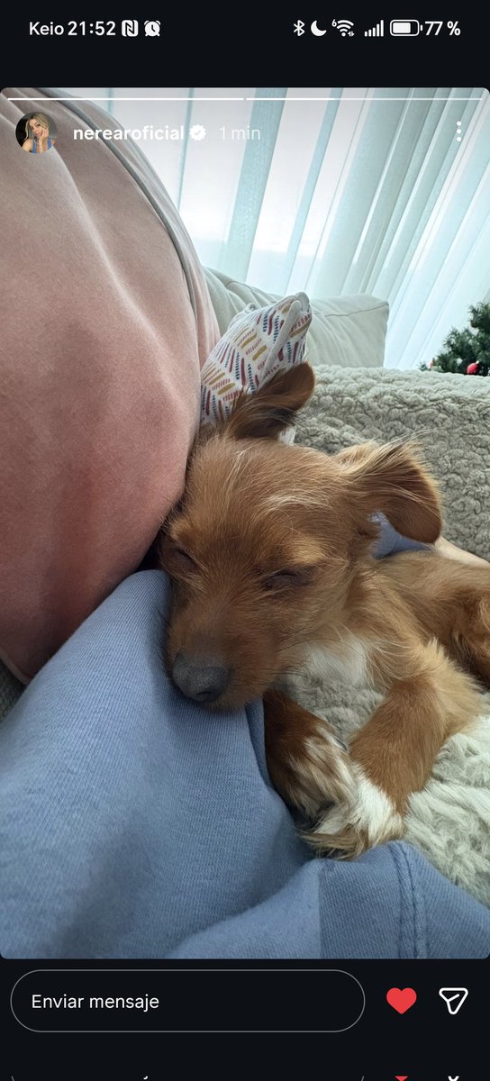 📱 || ¡Nerea vía Instagram Story!🐶
