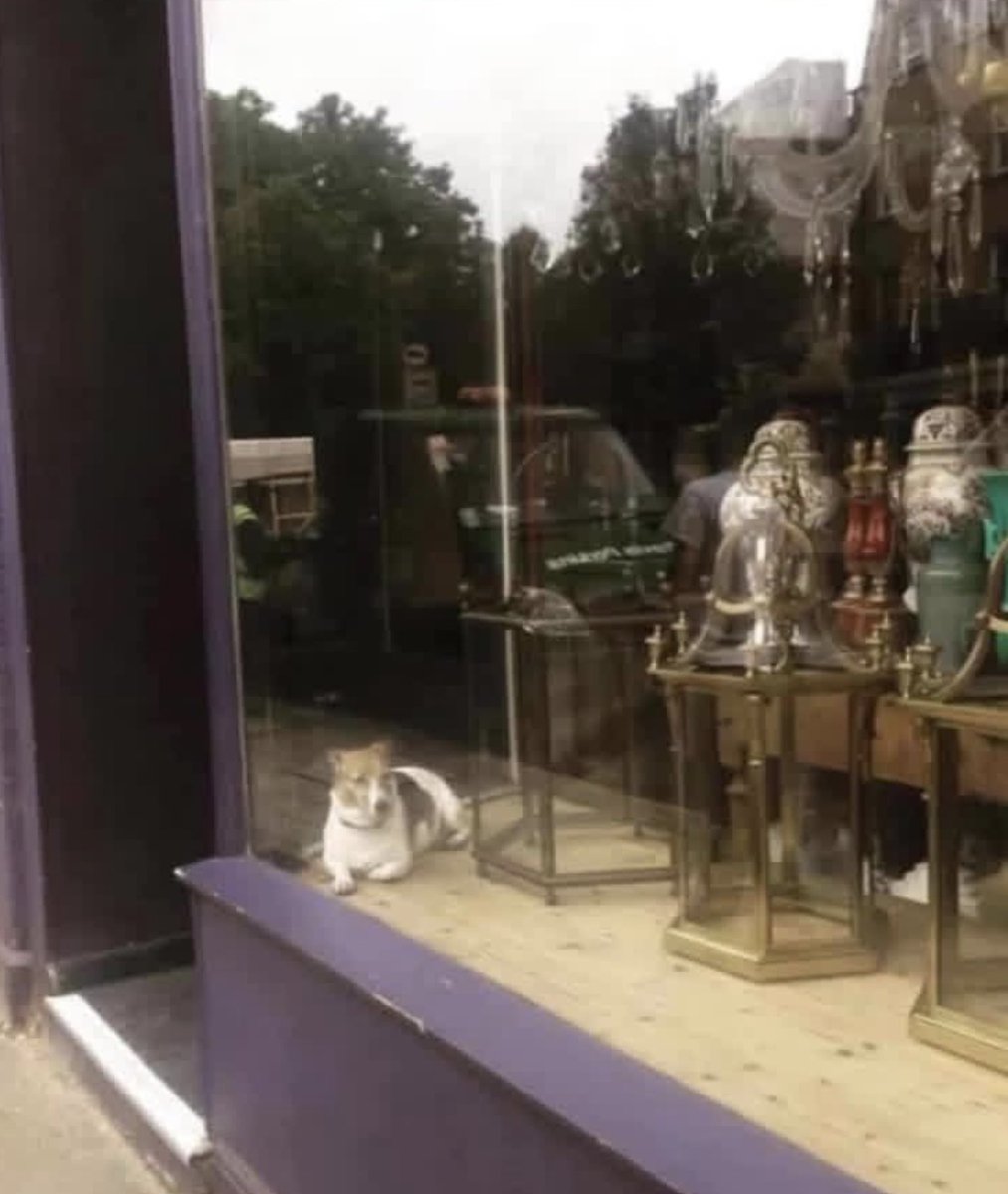 I have to say, I'm very tempted to go in and ask....