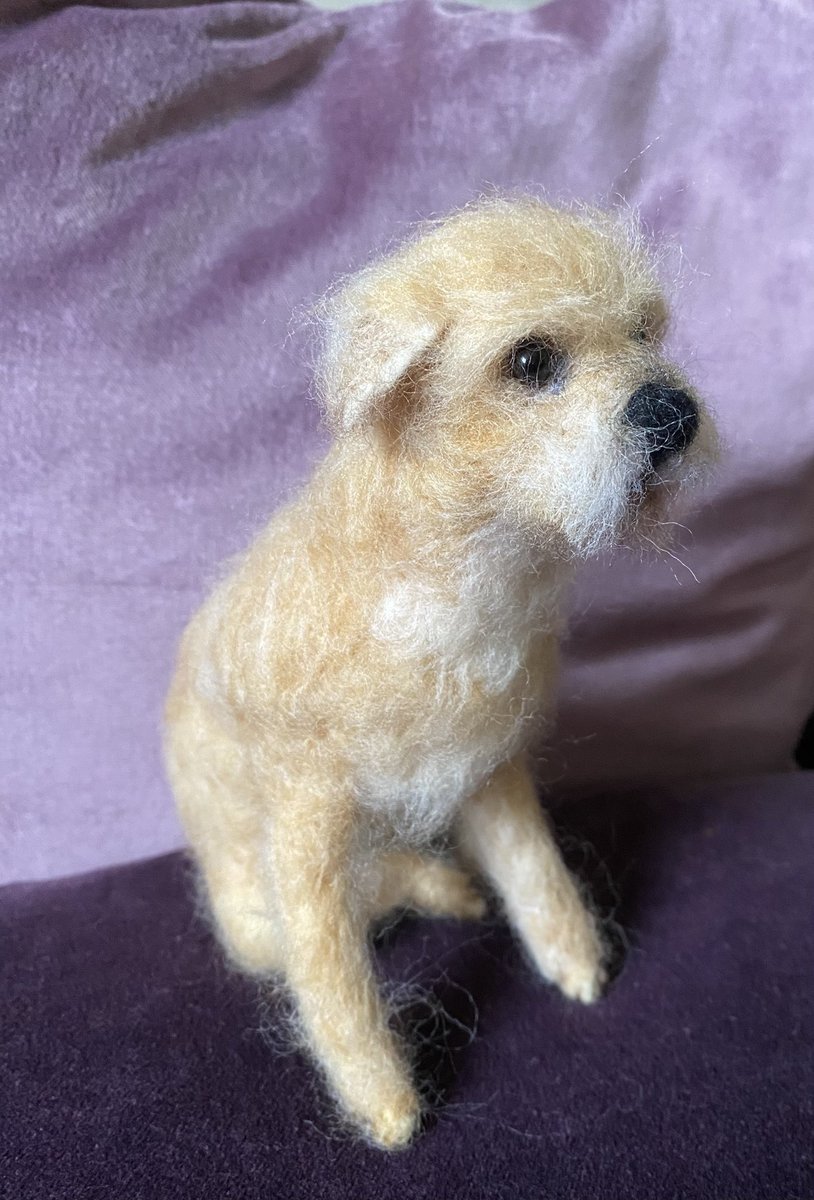 StephCowburn's tweet image. Needle felted Border Terrier please message me if you’d like a model of your own dog making #DogLover #BTPosse #CraftBizParty #HandmadeWithLove