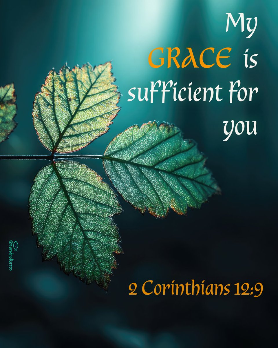 tolocarsa's tweet image. 📖 2 Corinthians 12:9 (NKJV)
My grace is sufficient for you, for My strength is made perfect in weakness.