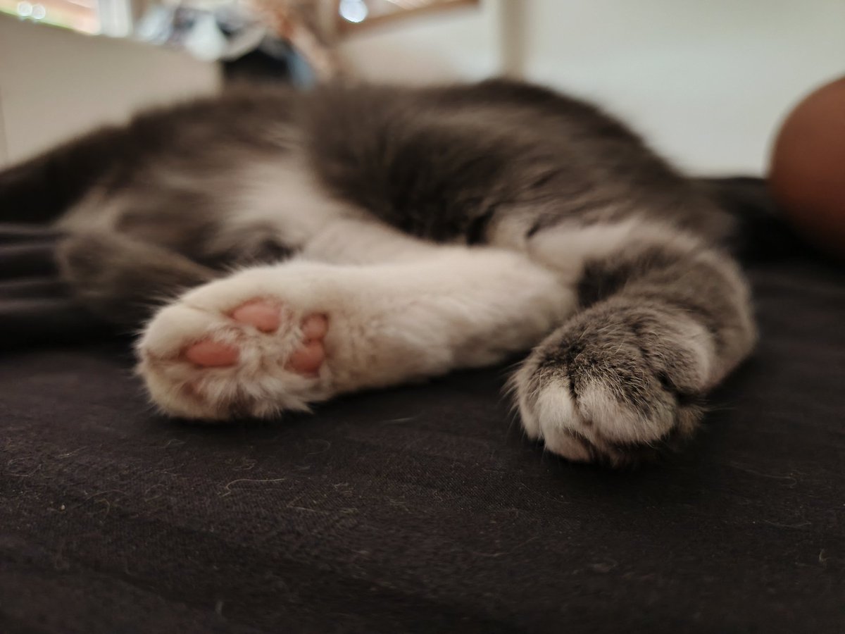 unatalmariss's tweet photo. 40 grados pero la siesta la dormimos juntas... #Limona💛 https://t.co/MJ4cnjy0sC