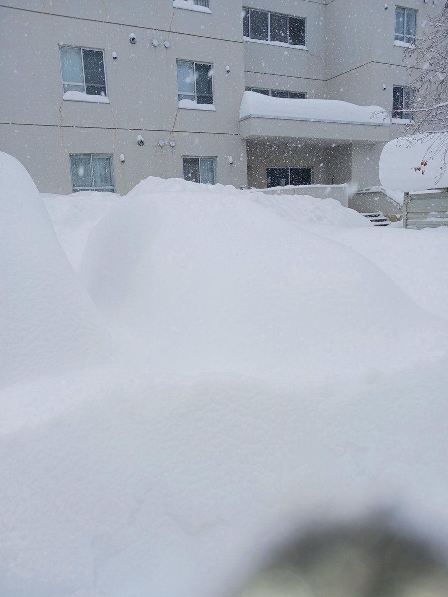 私の車がこの辺にありますWWW