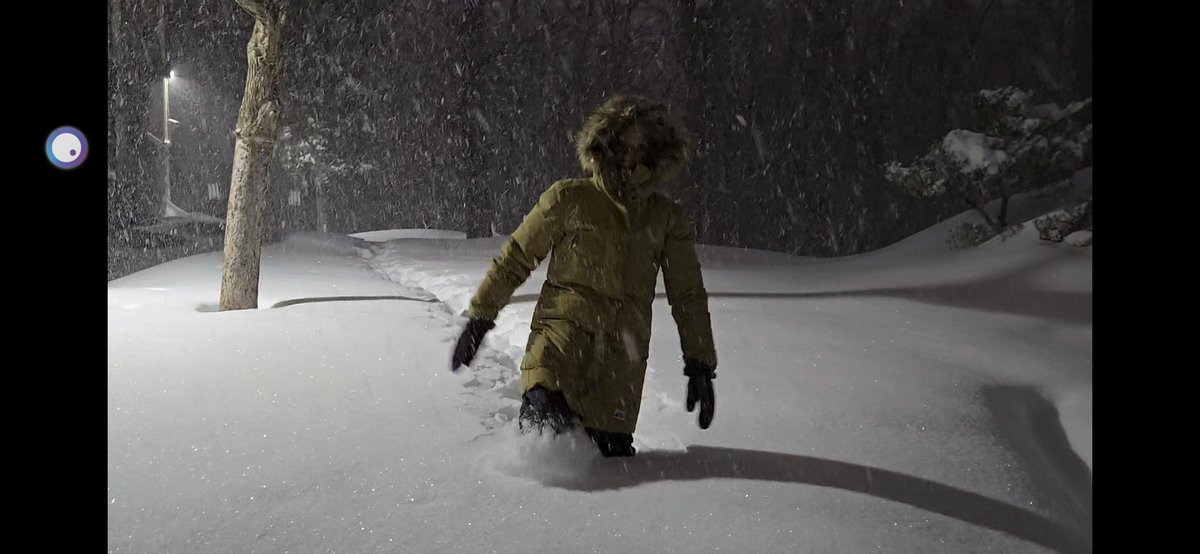 CreativeBlue ON tweet media