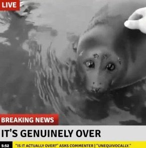 🥨■ AngieGBtz ■🥞 tweet media