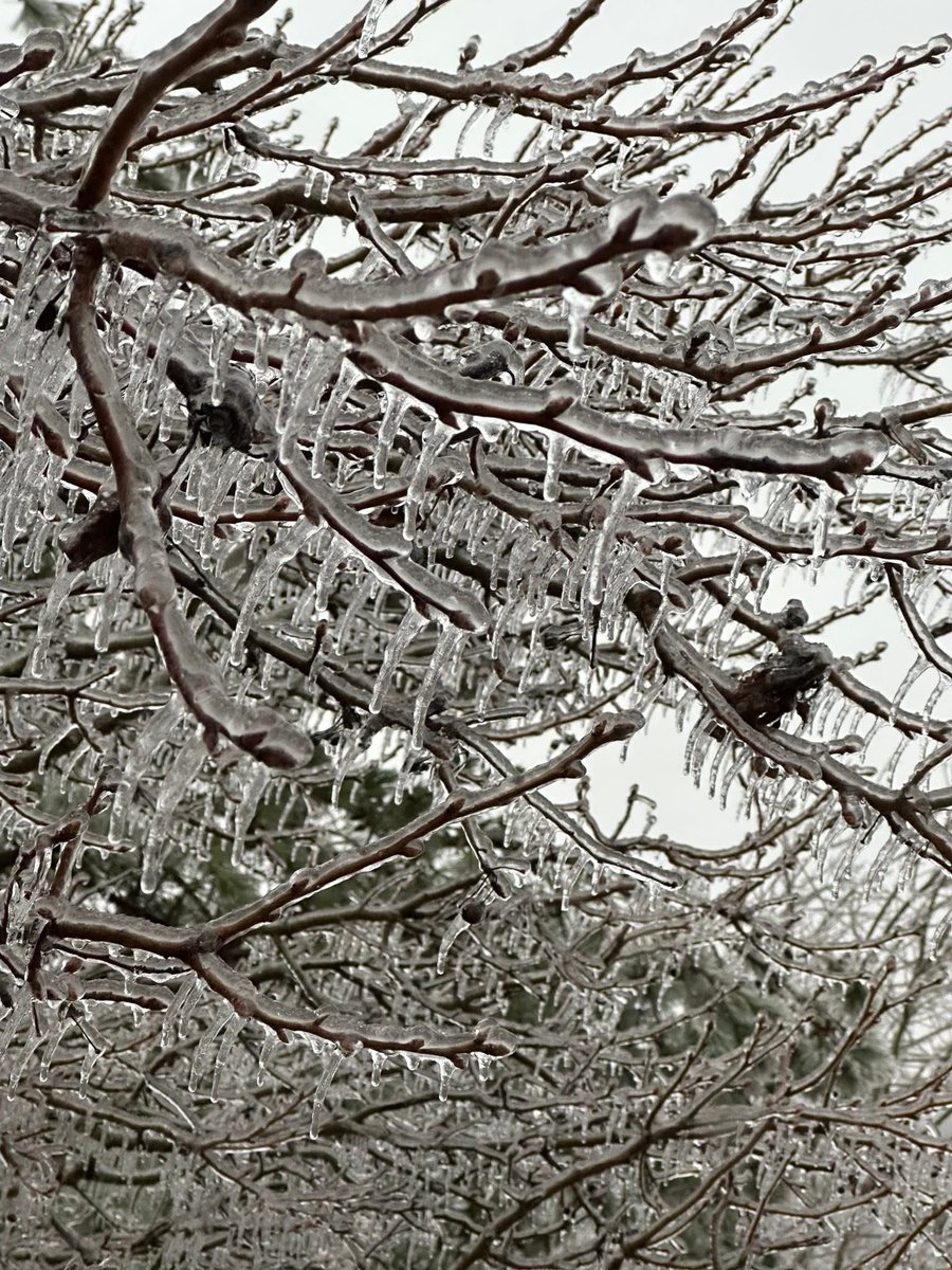 Kardan sonra yağmur yağınca bizim götün donuş (Amerika’da anlık hava durumu) 🥶❄️