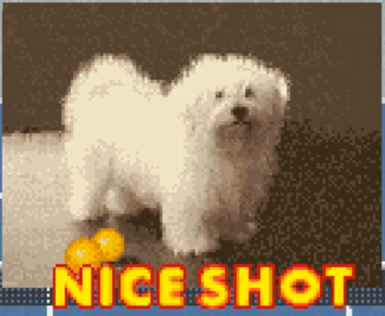 oops i obliterated an historic landmark

twitch.tv/privatelexi