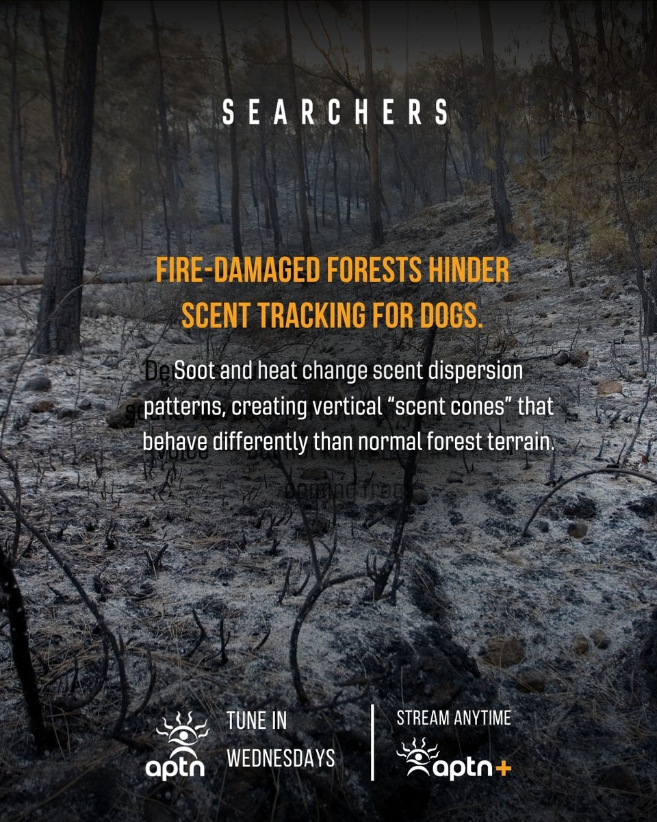 Fire changes more than the landscape.
Burned terrain can disrupt how scent moves, making tracking more difficult even for trained dogs.

Searchers airs Wednesdays on APTN.
#Searchers #APTN