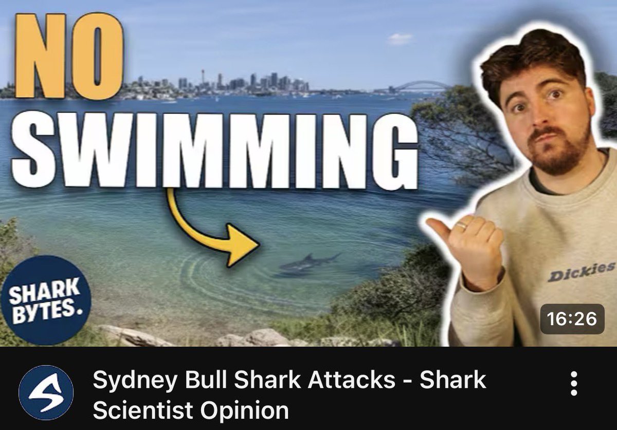 BRAND NEW #SHARKBYTES OUT NOW - Sydney has recently been the location of a few very high profile shark attacks, with one boy tragically losing his life. Come find out my thoughts via the Shark Bytes homepage here: youtube.com/@sharkbytes?si…