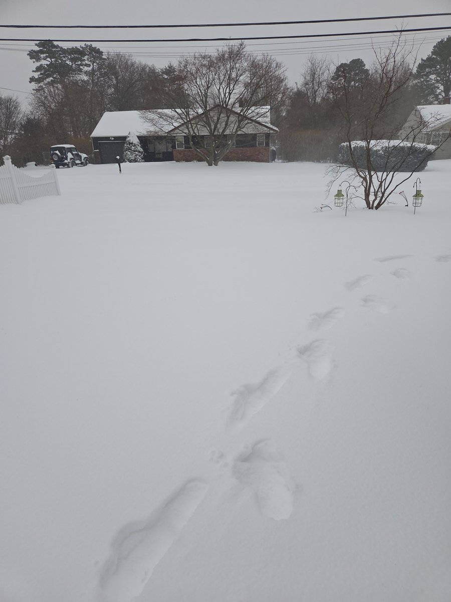 jrrescape tweet media