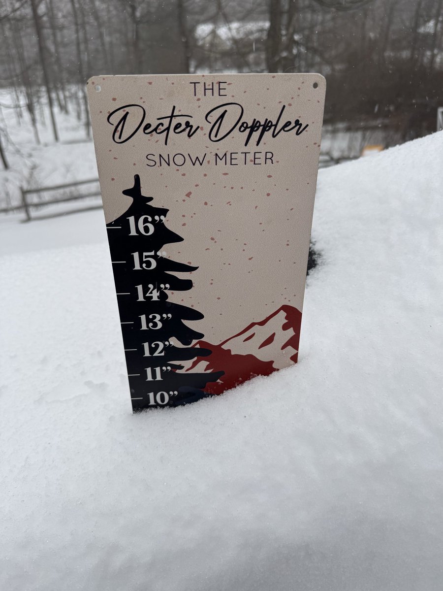 Mitchell tweet media