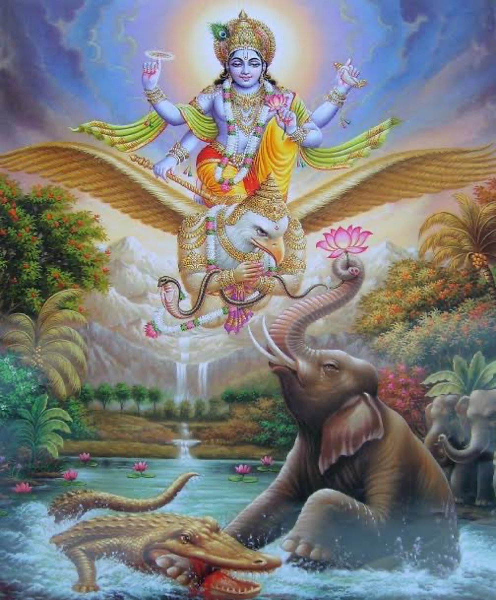 Avvai 🇮🇳 tweet media