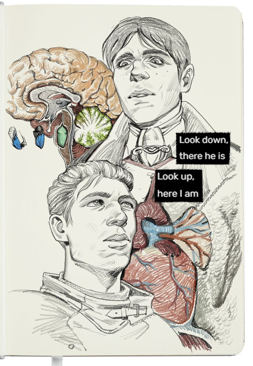 alyxwal's tweet image. wip