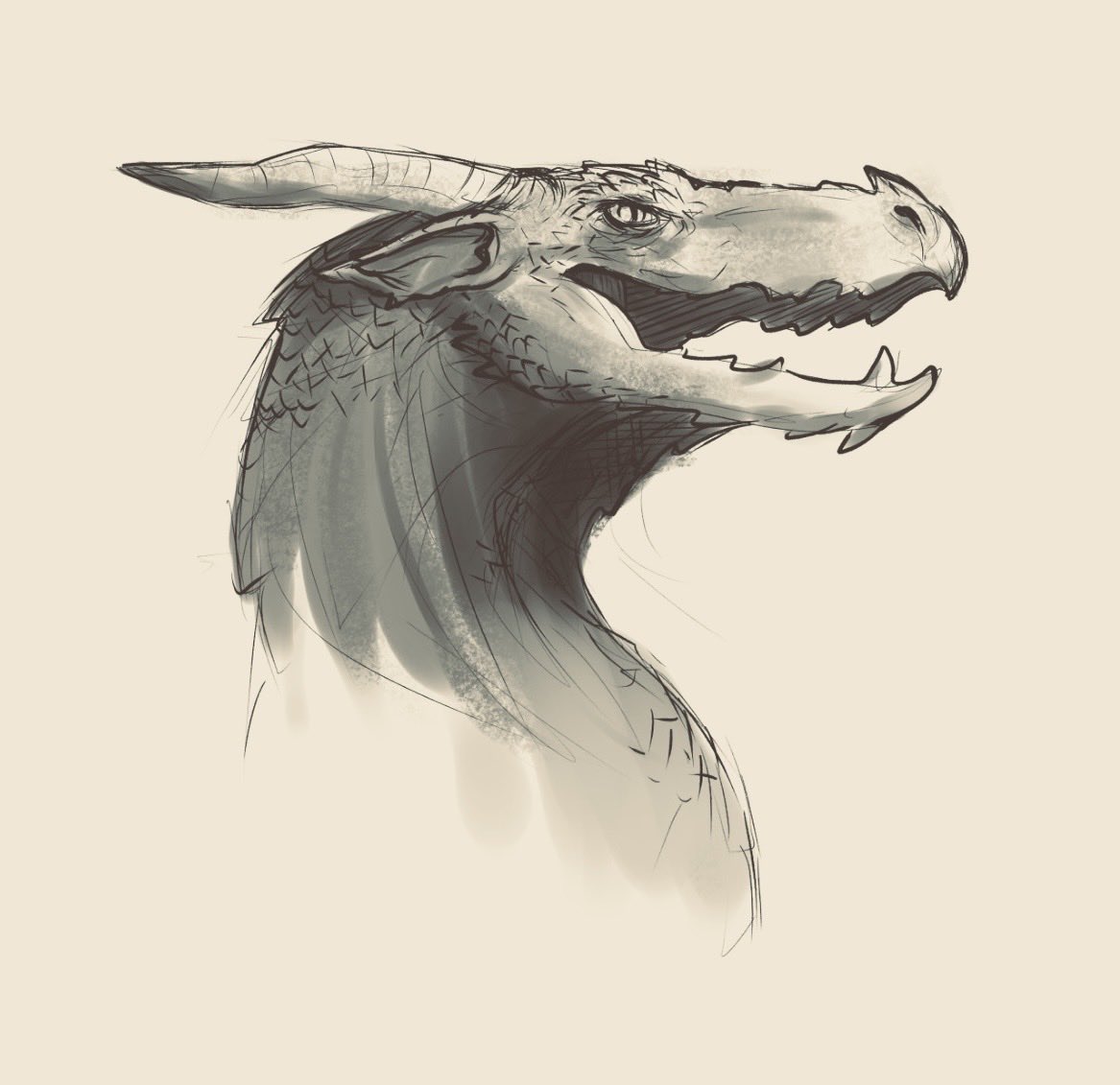 Dani Rodríguez tweet media