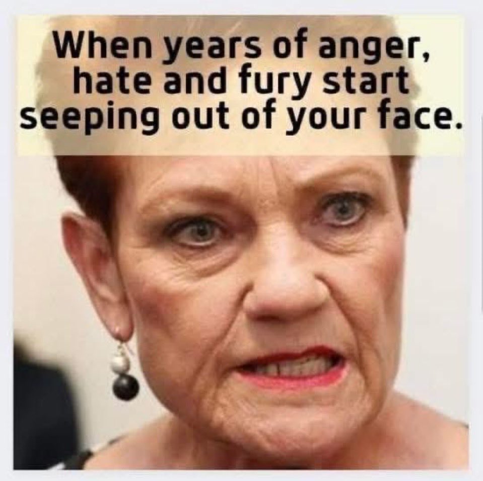 You can see the hate all over her face 
#auspol