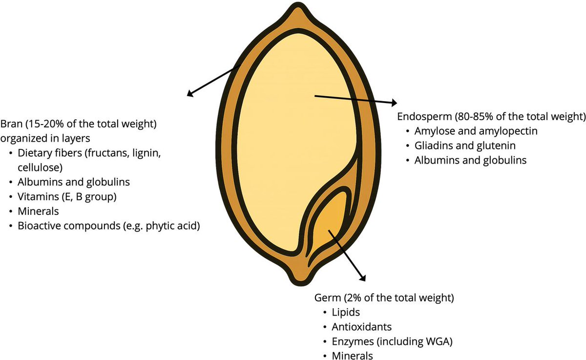 Frontline Gastro tweet media