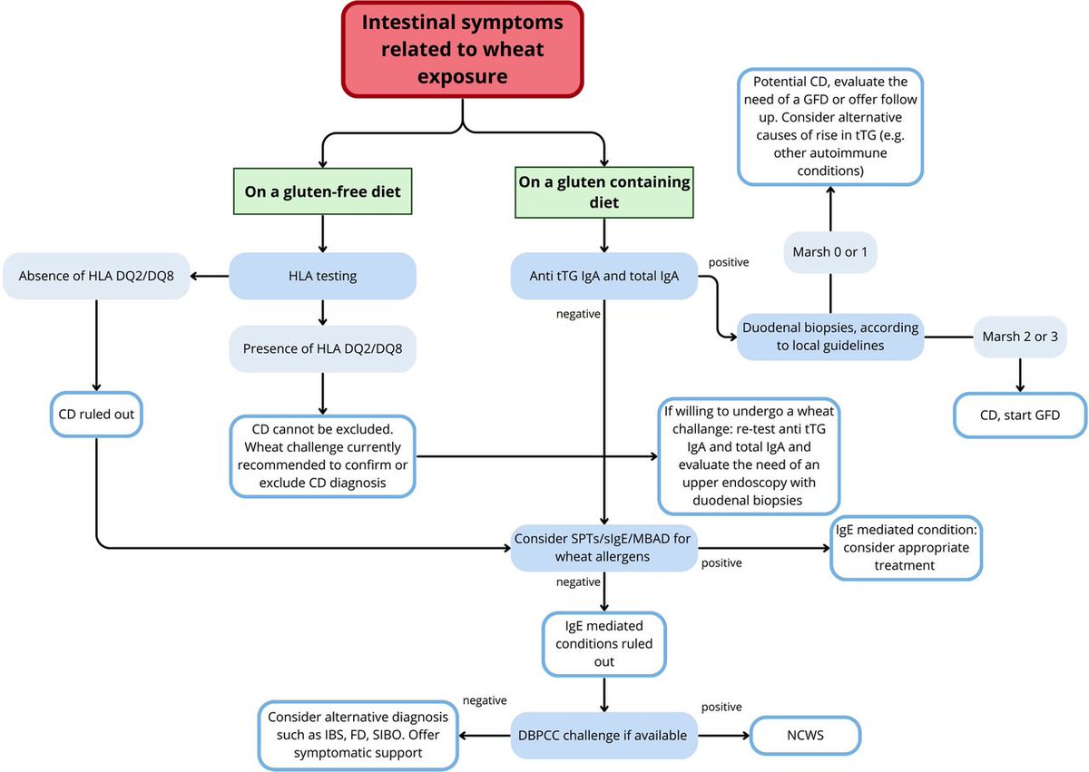 Frontline Gastro tweet media
