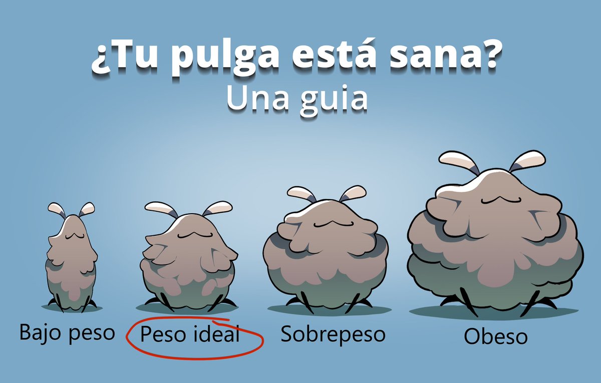 Victoria654 tweet media