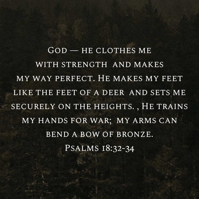 One Back Offense tweet media