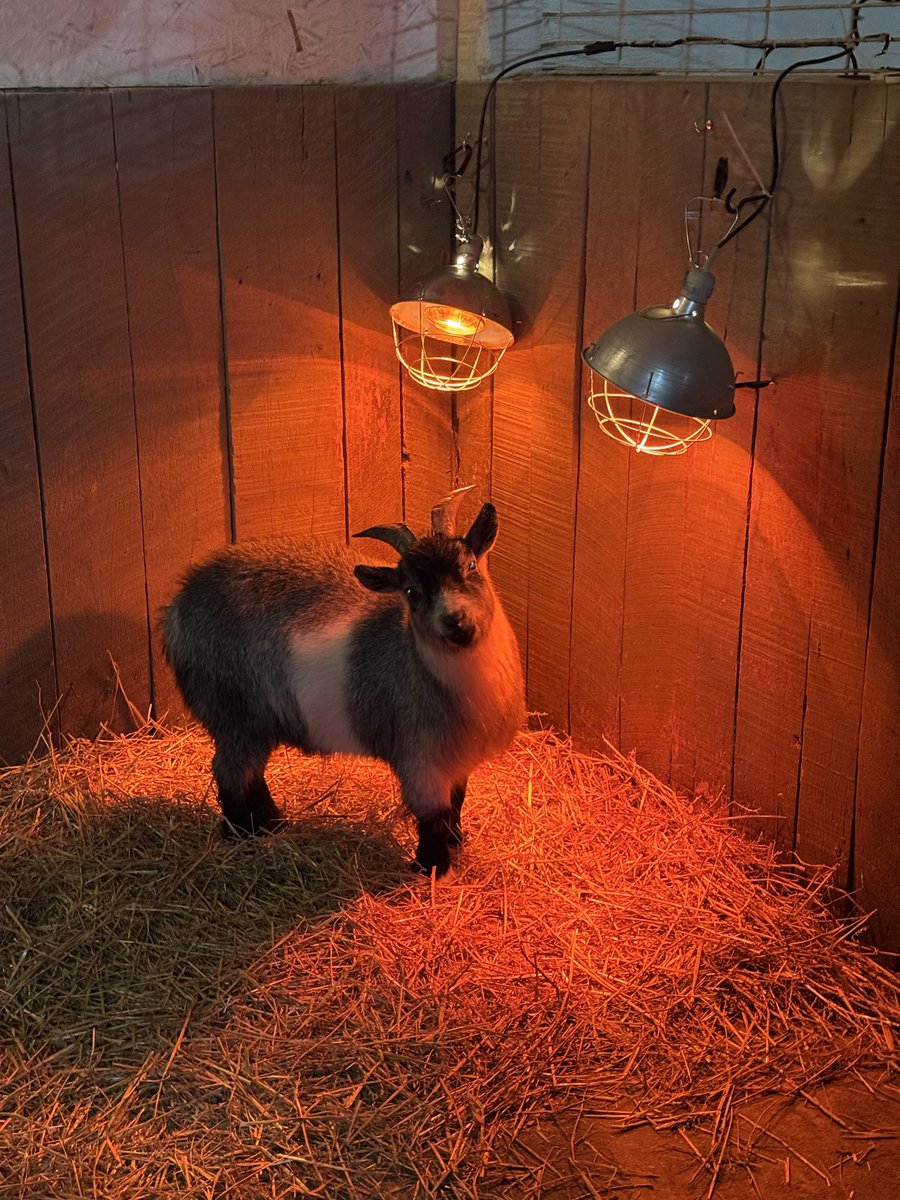 roger hayden tweet media