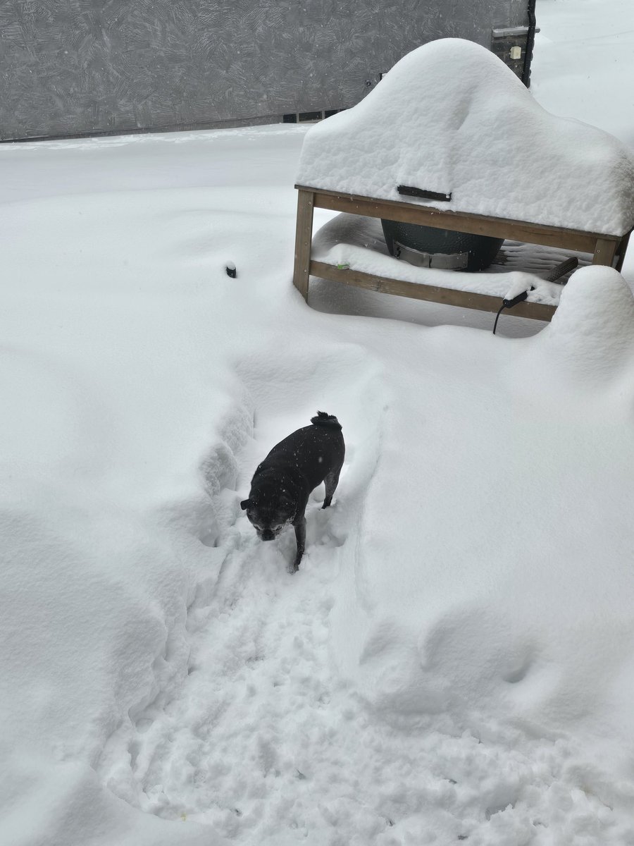 Randy Chavez ⭕ (@RealRandyChavez) / Posts / X