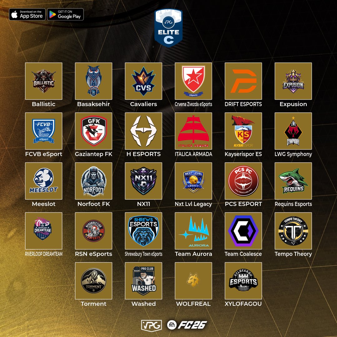 Virtual Pro Gaming tweet media