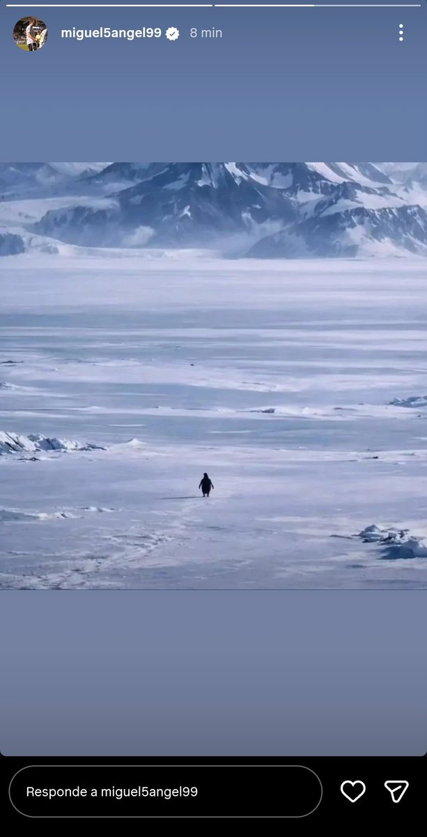 Appinaldo's tweet image. Don @miguel5angel99 vía Instagram 

Este cabronazo va a hacer historia con la motivación del pingüino de tiktok 🐧 

Vamos a hacer historia gracias a él