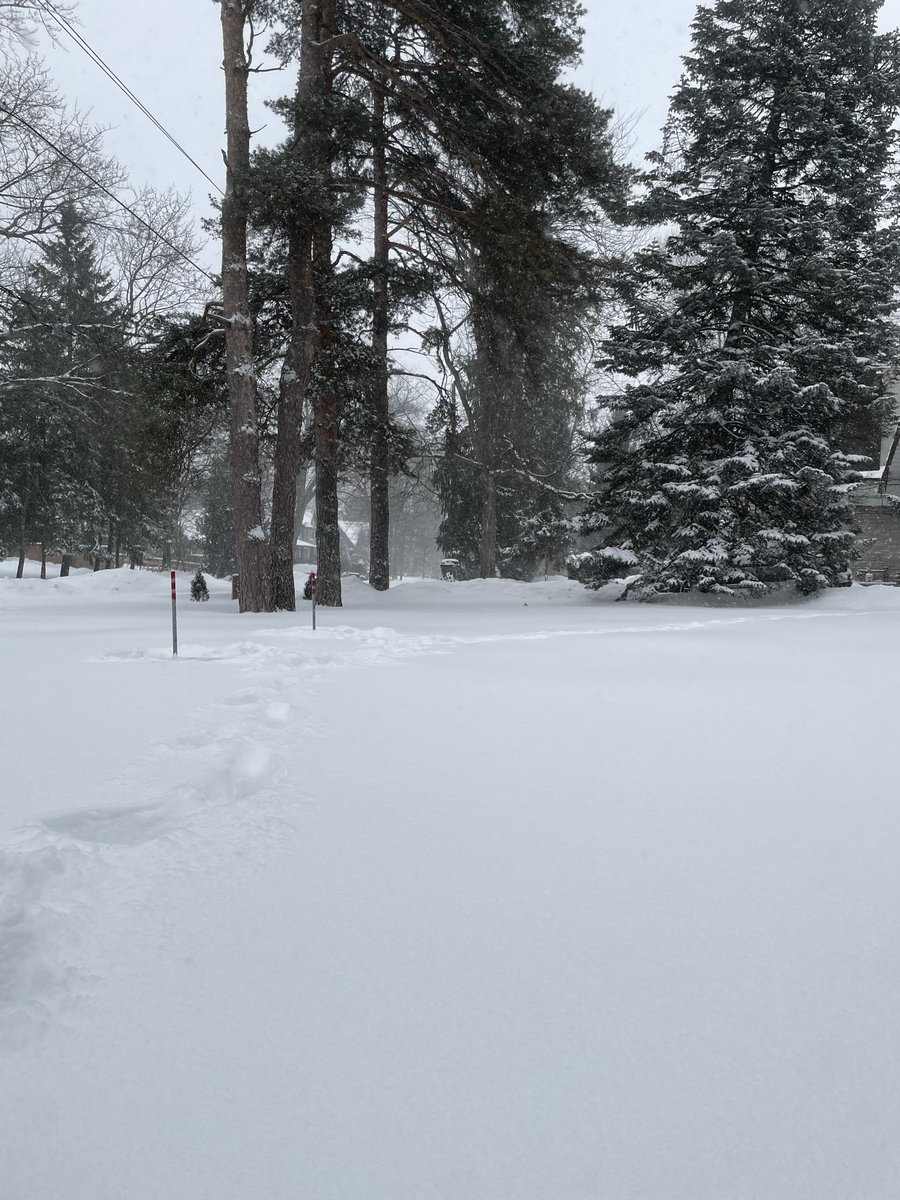 Kristoffer L. tweet media