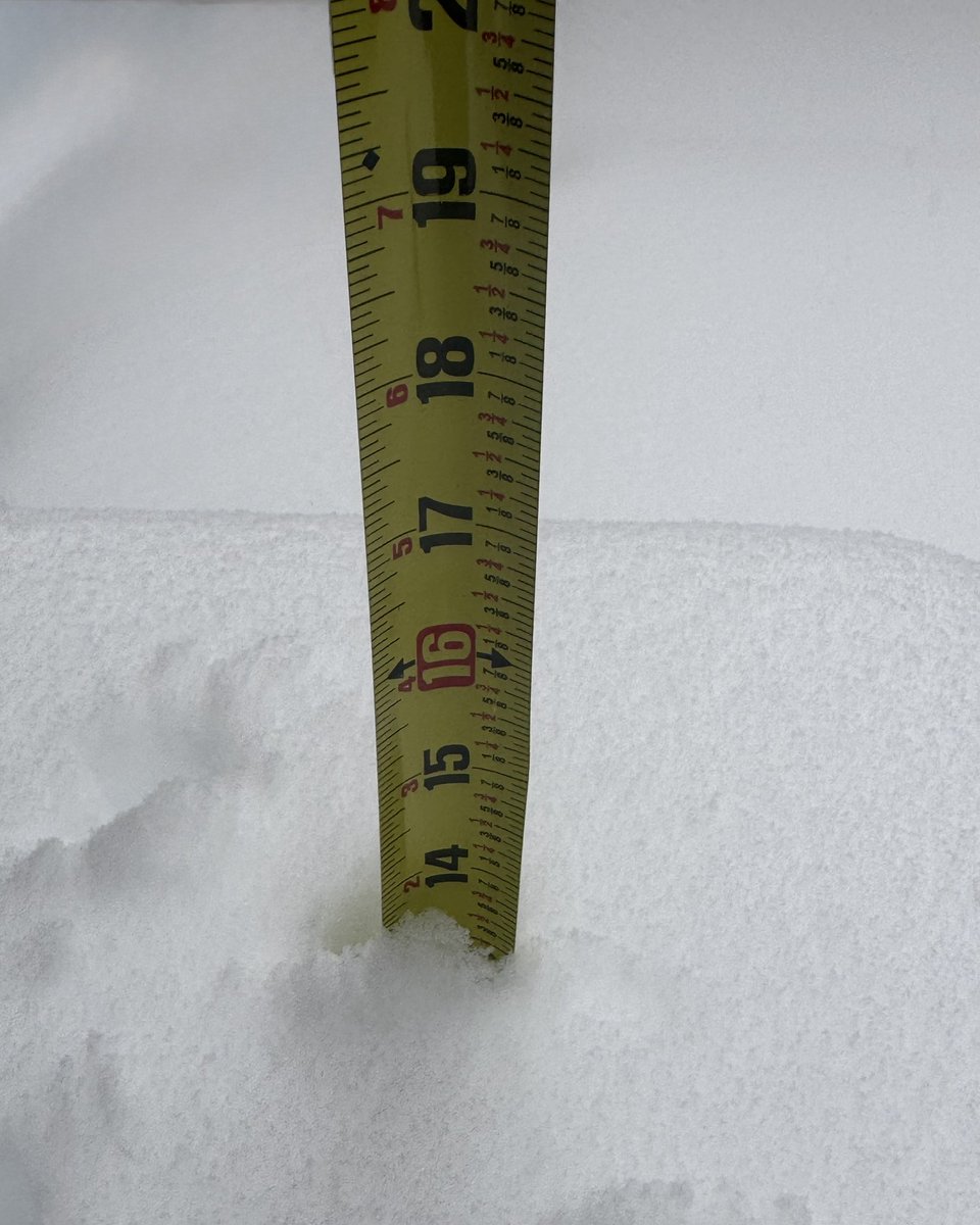 JoyLWhite's tweet photo. Still snowing in Cranberry TWP, PA https://t.co/Q2loQv6Xhe