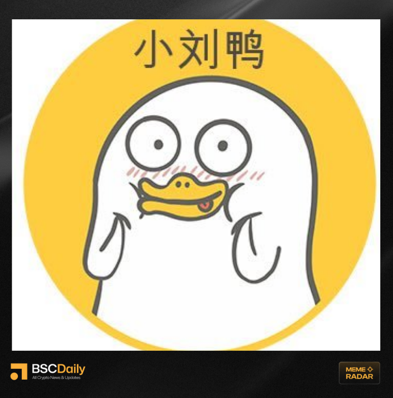 #小刘鸭 | XiaoLiuya - $320K MCap

CA: 0xb4cb805178e061159CF72421659c6Ed070434444

<a href="/XiaoLiuYa_BSC/">XiaoLiuya 小刘鸭</a> is a duck that will never grow up

China's most adorably cheeky and healing IP: Little Liu Duck. 

#DYOR