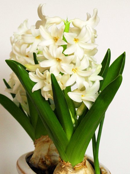 占いサロン順震(原宿当たる占い師5選、ヤフー占い売上No1占い師）1/24