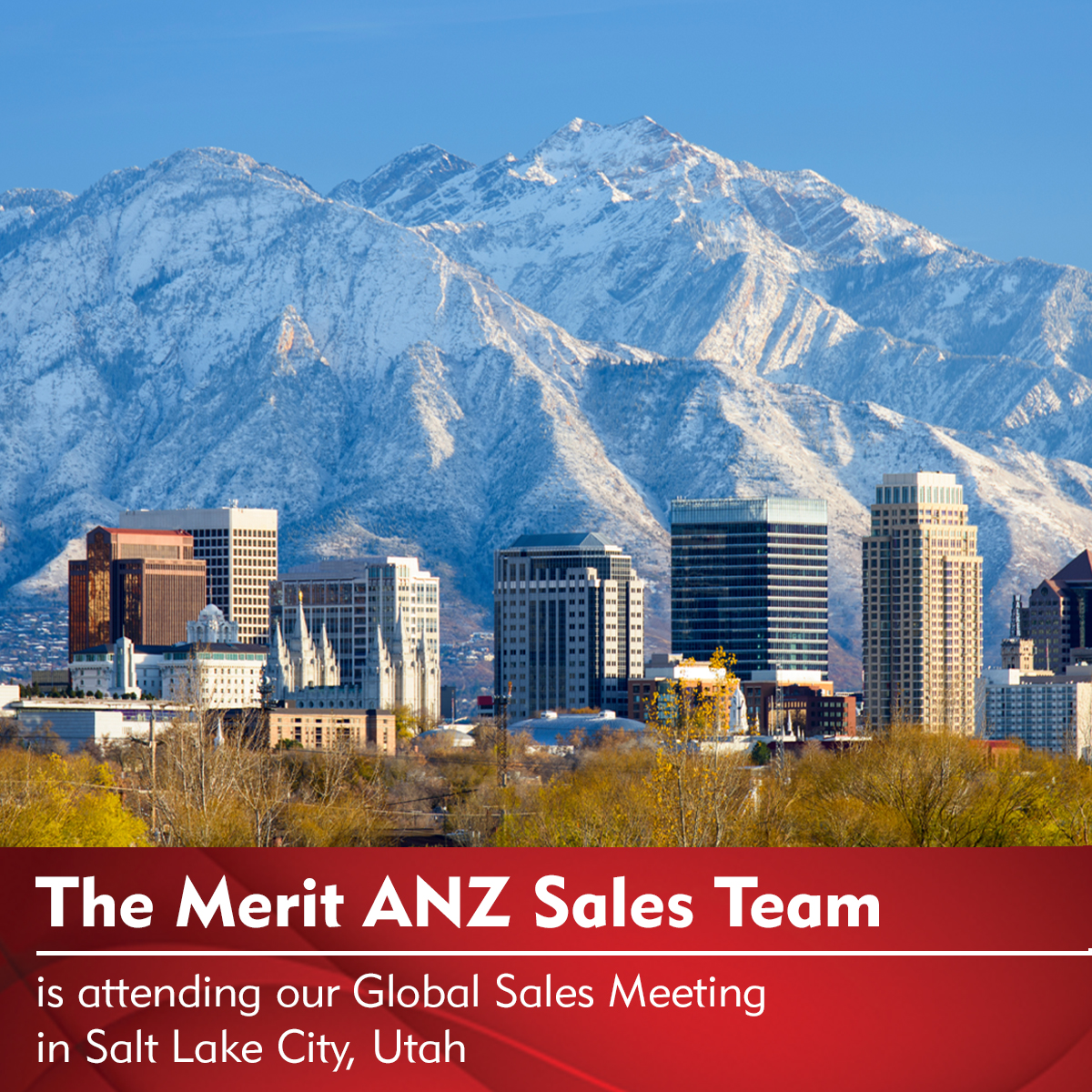 Merit Medical ANZ tweet media