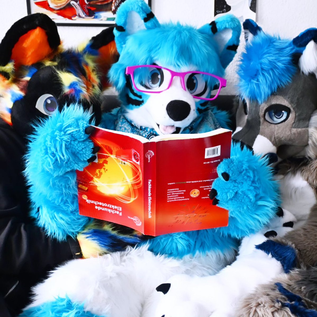 Vuk🔜NFC tweet media