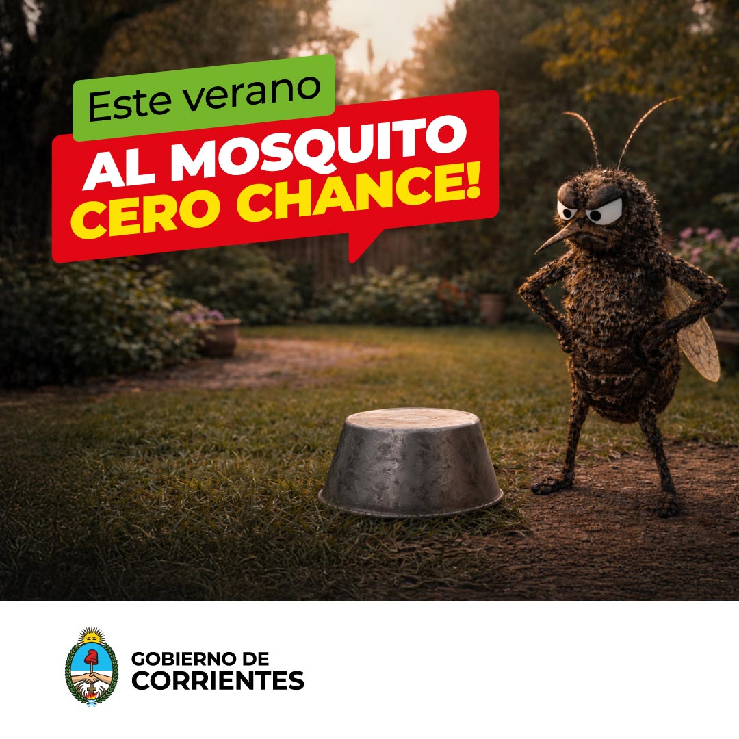 Gobierno de Corrientes tweet media