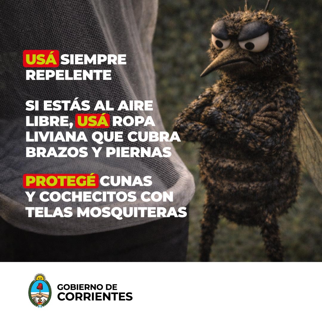 Gobierno de Corrientes tweet media