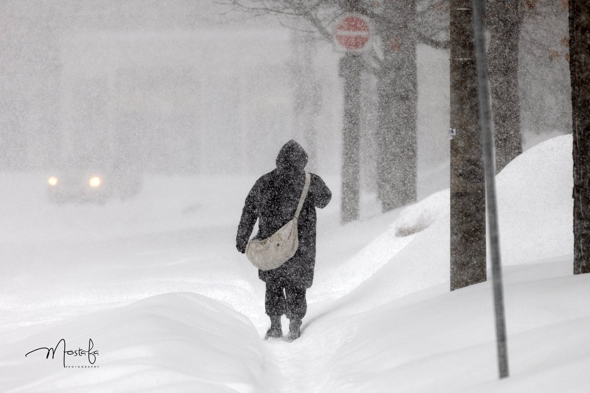 mostafagraphy's tweet photo. Winter Snowstorm in Toronto! #onstorm #Snowstorm #CanadianWinter https://t.co/ITkcwS1bx3