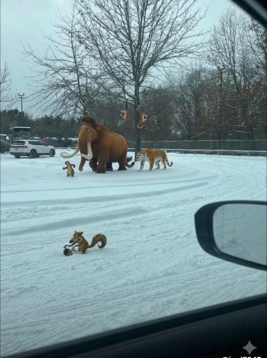 maceoofficial's tweet image. you won't believe it 😅