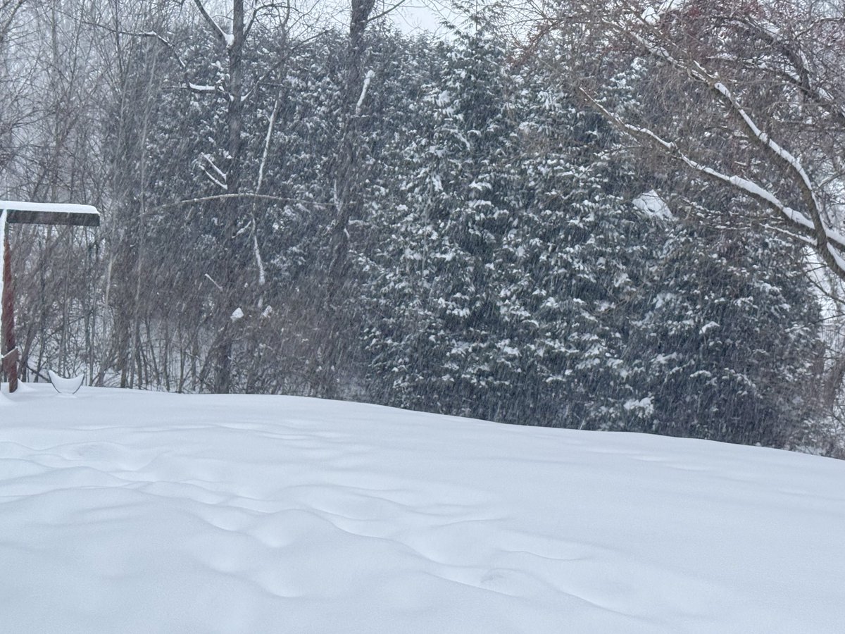 Hayds1221's tweet photo. [440 PM]. Storm total snowfall now up to 8.2” in Westborough. Moderate snow falling with a current temp of 6 degrees. @NWSBoston @WX1BOX https://t.co/VDEbh6LRGt