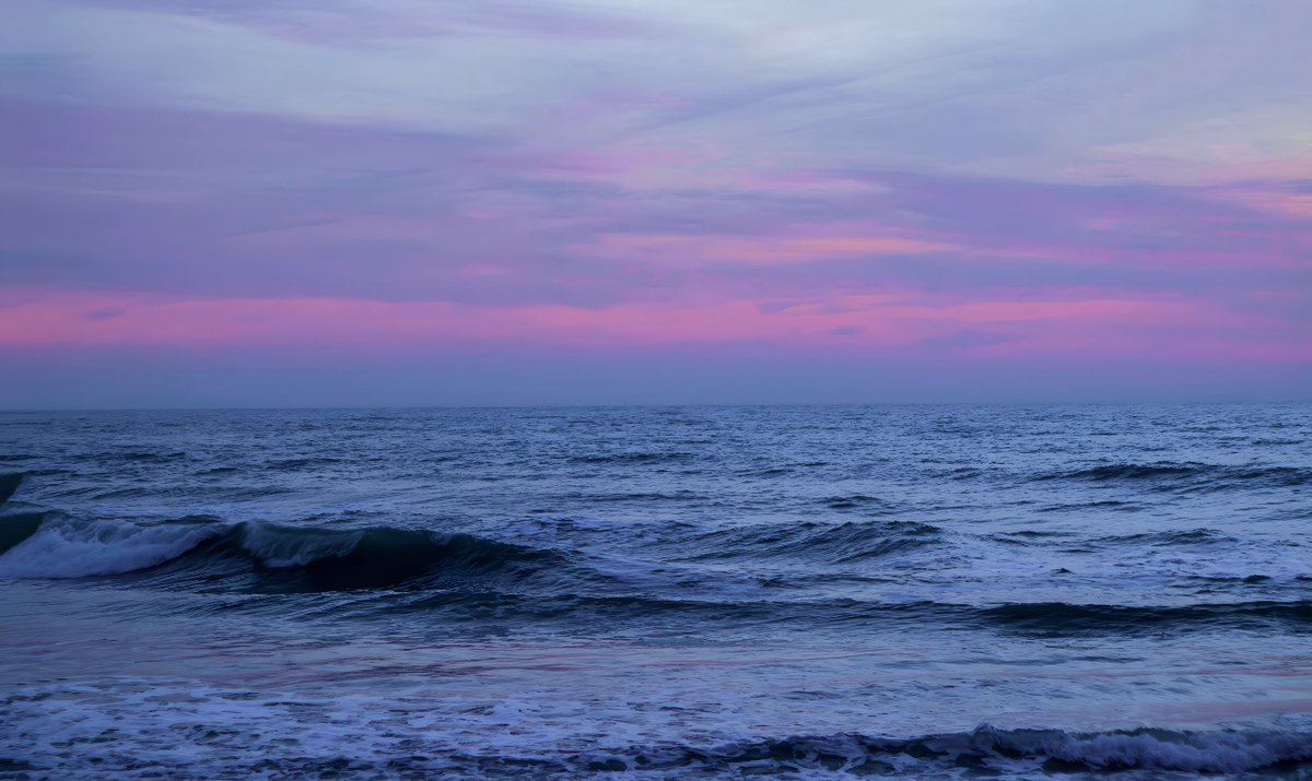 studio ghibli (@gardenofghibli) on Twitter photo 