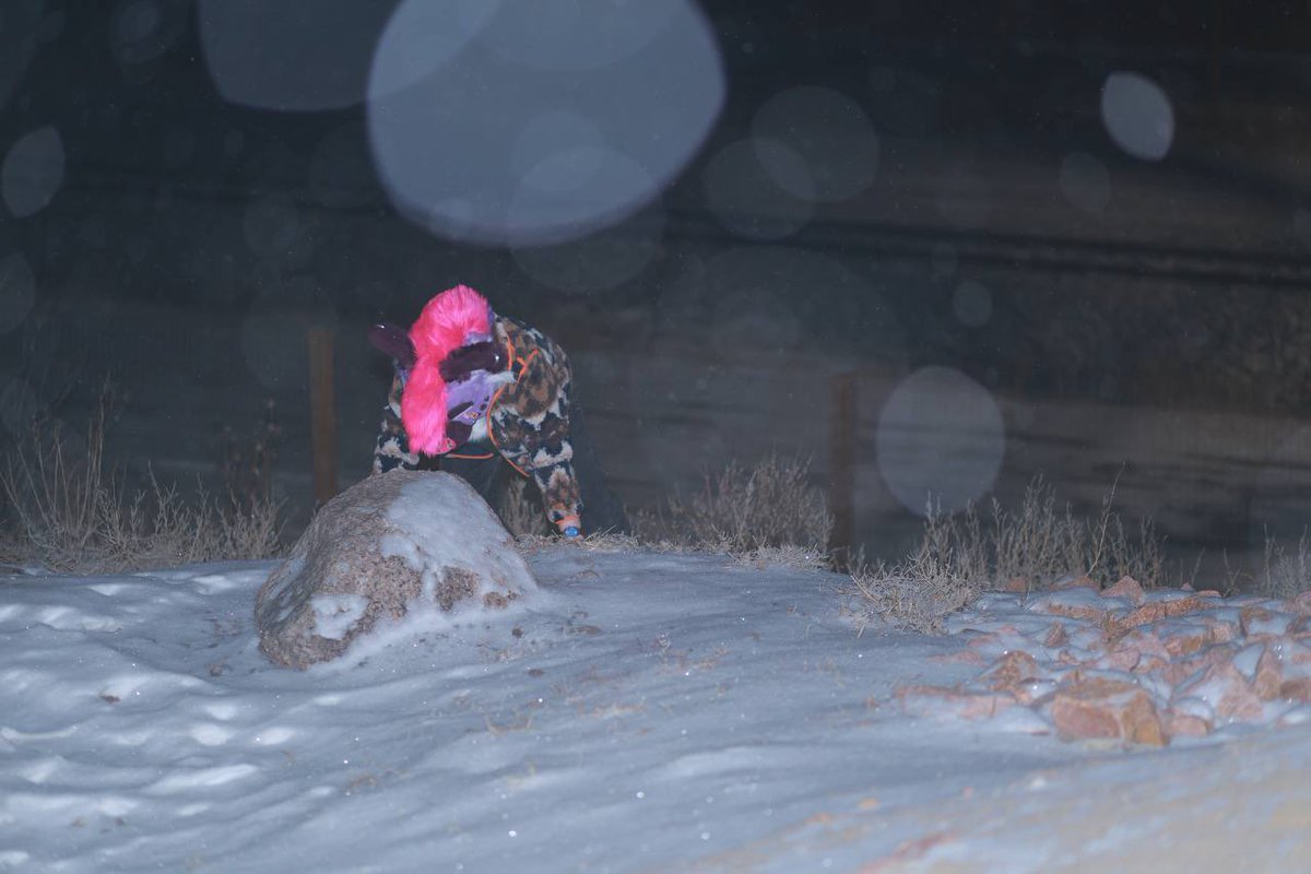 BraeBrae💜🔜 LVFC tweet media