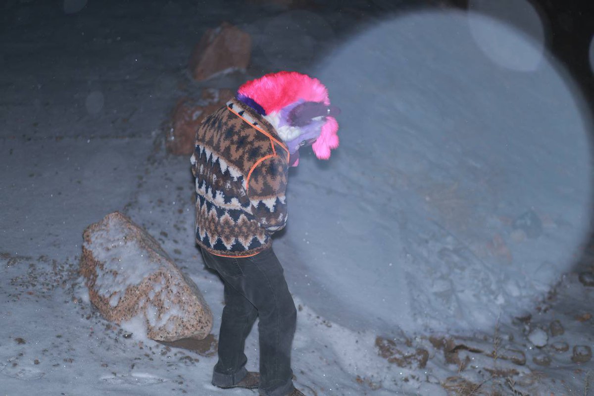 BraeBrae💜🔜 LVFC tweet media