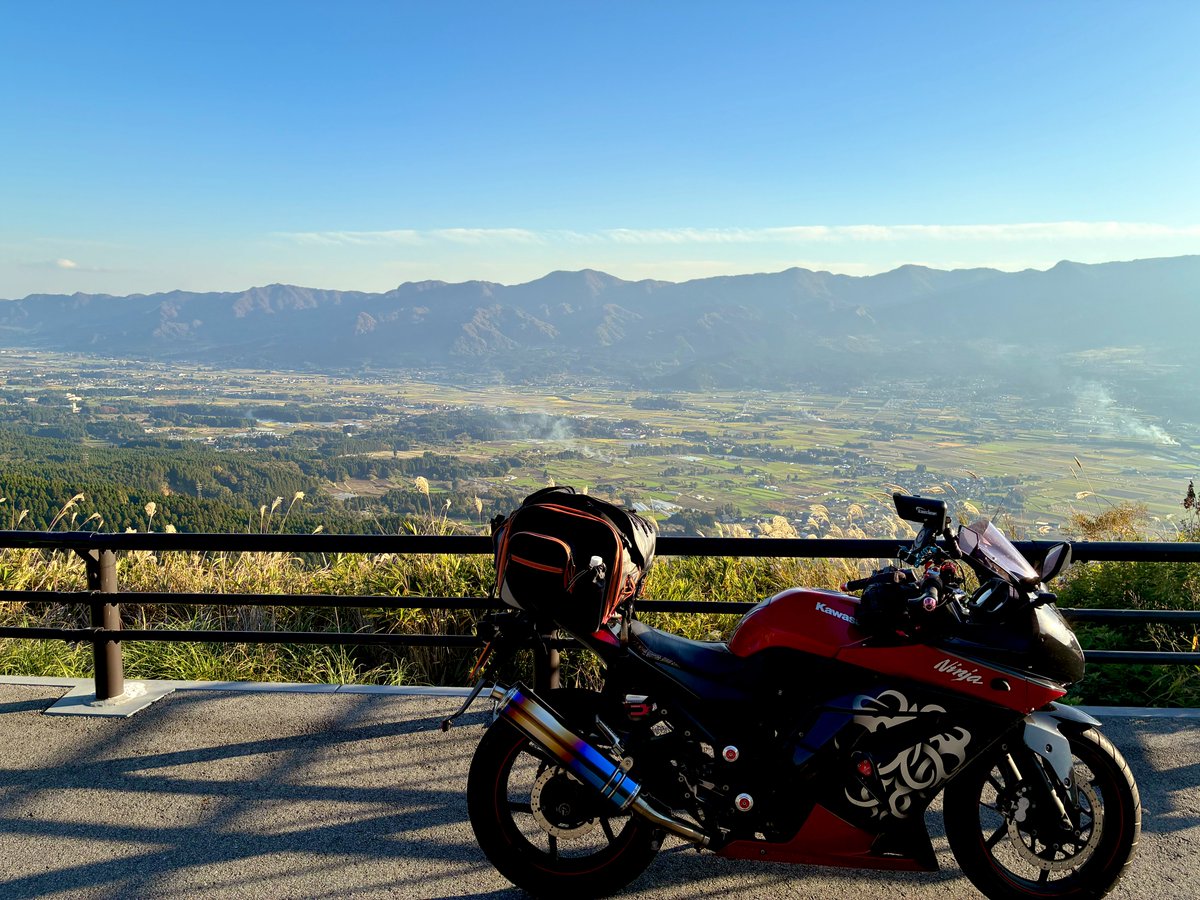 mimi( ◔︎㉦◔︎ ) (@mimi_mimi250) / Posts / X