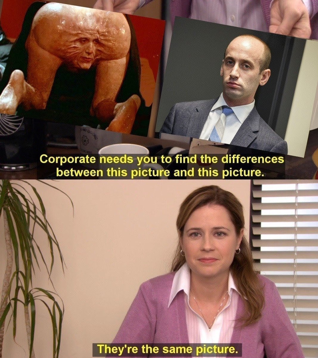 i always knew stephen miller looked familiar